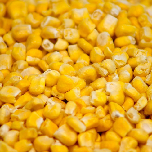 120 Serving Emergency Freeze Dried Vegetable Variety